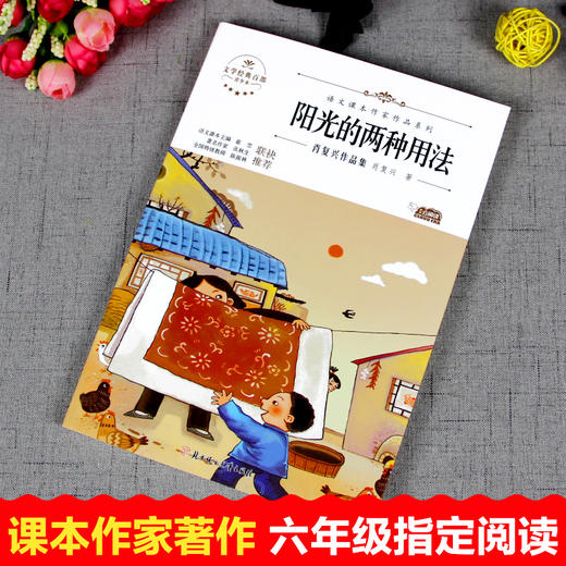 语文课本作家作品系列单色 阳光的两种用法 商品图2