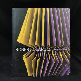 罗贝托·卡普奇：艺术融入时尚 约百余幅彩色插图 平装大16开