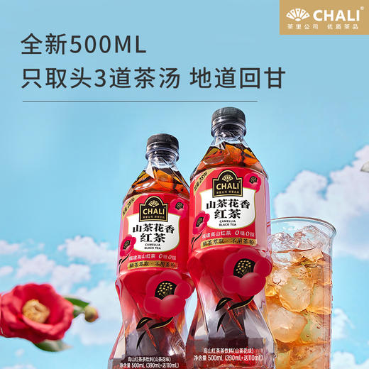 【新品上市】CHALI 山茶花香红茶无糖茶饮料500ml 15瓶/箱 商品图2