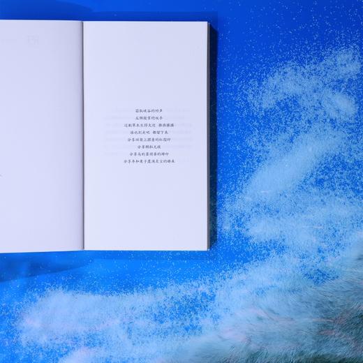 盲眼海豹 《送你一朵小红花》《我爱你！》编剧韩今谅首部中长篇小说 商品图7