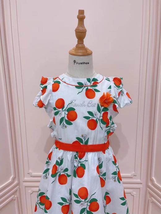 红果子连衣裙 商品图1