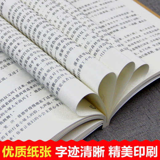 语文课本作家作品系列单色  巨人的花园 商品图6