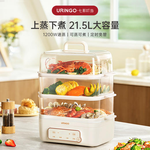 七彩叮当升级款多功能电蒸锅DZ08 商品图0