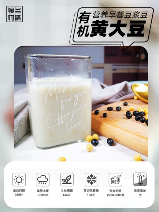 有机黄大豆 东北寒地 一年一熟 放心粮 商品图3