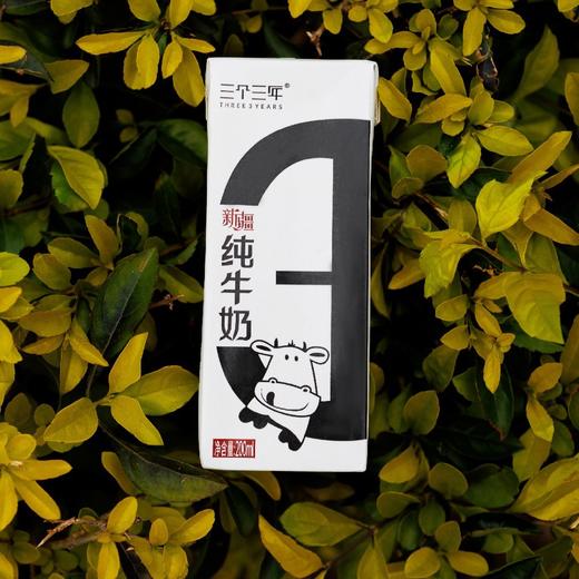 石家庄优选仓库速达 ，三个三年定制奶源新疆纯牛奶，新鲜定制奶源，入口醇厚， 奶香浓郁，200ml×12瓶/箱 商品图1