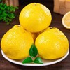 黔阳黄金贡柚 商品缩略图1