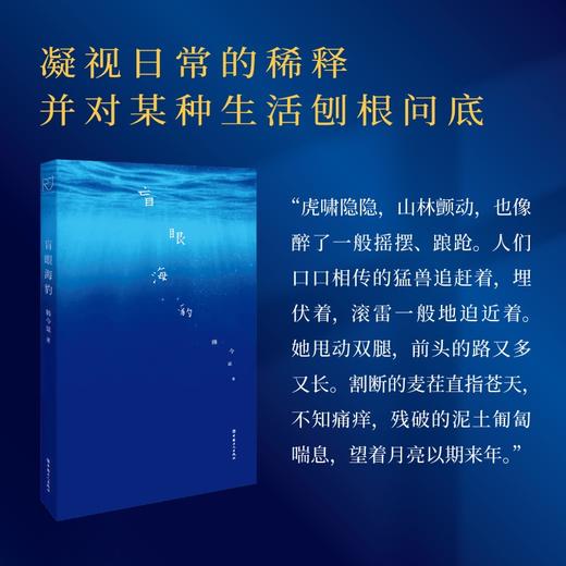 盲眼海豹 《送你一朵小红花》《我爱你！》编剧韩今谅首部中长篇小说 商品图1