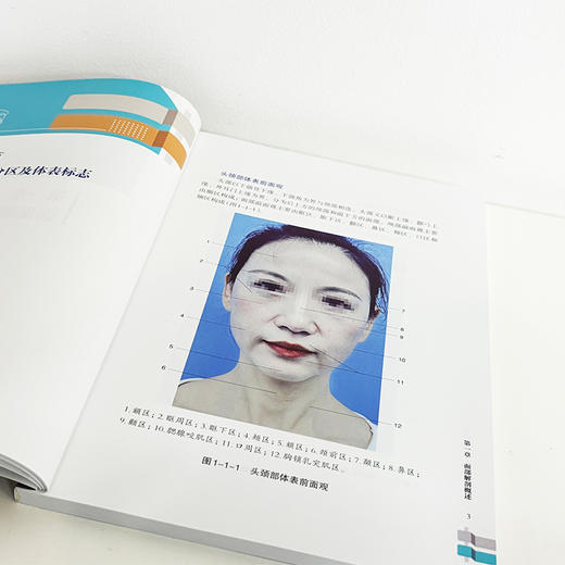 陈氏面部SMAS除皱术图谱 陈学善 9787571025359 湖南科学技术出版社直发 商品图6