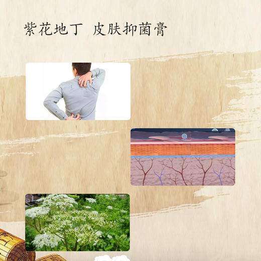 【紫花地丁皮肤抑菌膏】 20g/盒 商品图2