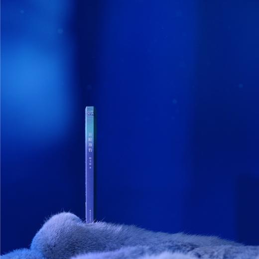 盲眼海豹 《送你一朵小红花》《我爱你！》编剧韩今谅首部中长篇小说 商品图6