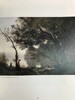 法国风景画的兴起：从科罗到莫奈 144幅插图（105幅彩色） 精装16开 商品缩略图13