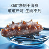 【正宗同仁堂品牌】北京同仁堂 总统牌 净制海参（干海参）195克（61-80头/500克）去砂嘴 去内脏 参体肥厚SY 商品缩略图6