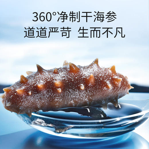【正宗同仁堂品牌】北京同仁堂 总统牌 净制海参（干海参）195克（61-80头/500克）去砂嘴 去内脏 参体肥厚SY 商品图6