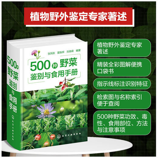 500种野菜鉴别与食用手册 商品图0