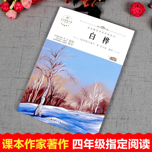 语文课本作家作品系列单色 白桦 商品图2