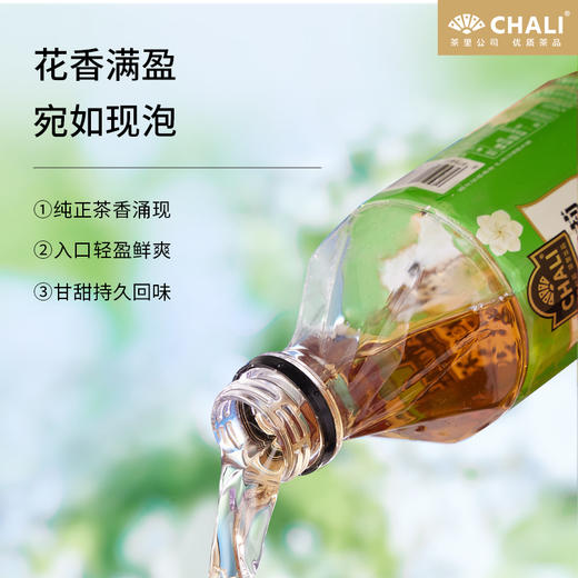 【新品上市】CHALI 栀香茉莉白茶无糖茶饮料500ml 15瓶/箱 商品图2