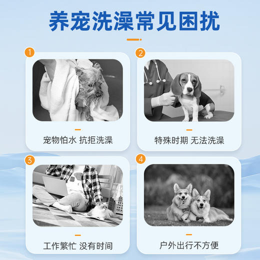 水神宠物手套湿巾 商品图4