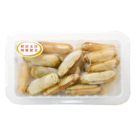 鲜活蛏子300g/盒 商品图2