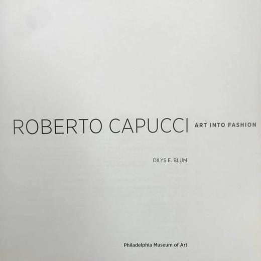 罗贝托·卡普奇：艺术融入时尚 约百余幅彩色插图 平装大16开 商品图3