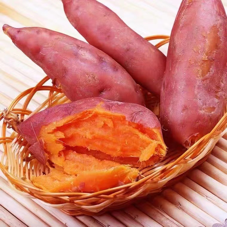 甄源|特惠|广西西瓜红蜜薯4.5-5斤中小薯单果50-150g大果150g+