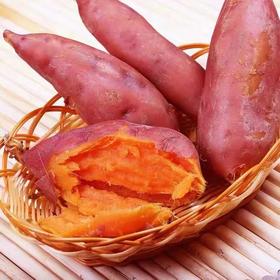 甄源|广西西瓜红蜜薯4.5-5斤中小薯单果50-150g大果150g+