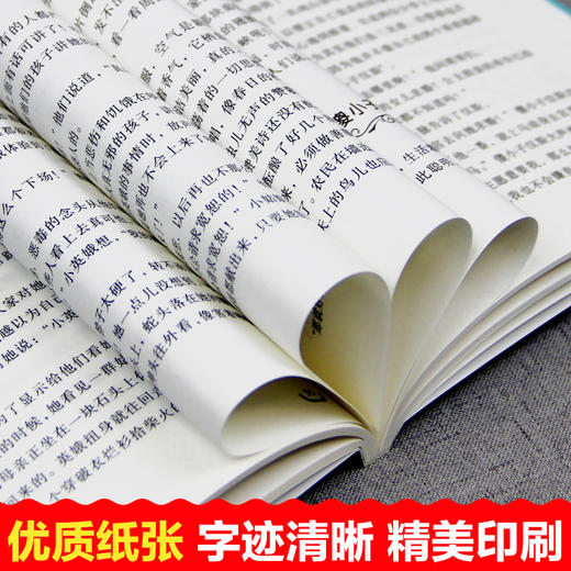 语文课本作家作品系列单色北方 海的女儿 商品图6