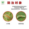 芙利亚   溴虫氟苯双酰胺  有效杀灭青虫肉虫食心虫 商品缩略图1