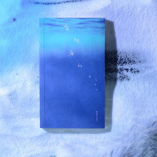 盲眼海豹 《送你一朵小红花》《我爱你！》编剧韩今谅首部中长篇小说 商品图2