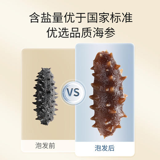【正宗同仁堂品牌】北京同仁堂 总统牌 净制海参（干海参）195克（61-80头/500克）去砂嘴 去内脏 参体肥厚SY 商品图3
