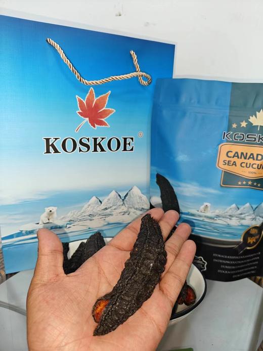 加拿大KOSKOE品牌 北极海参，稀缺海参王 15-18头 商品图4