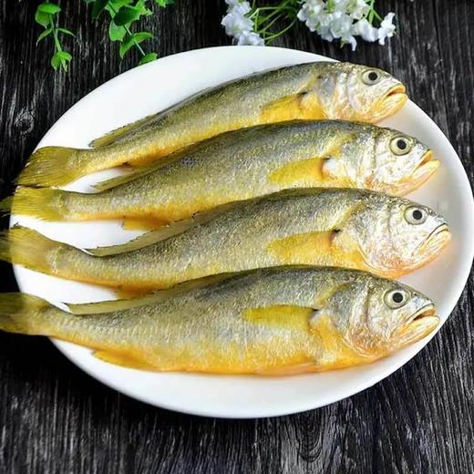 黄花鱼1000±30g/袋 商品图4