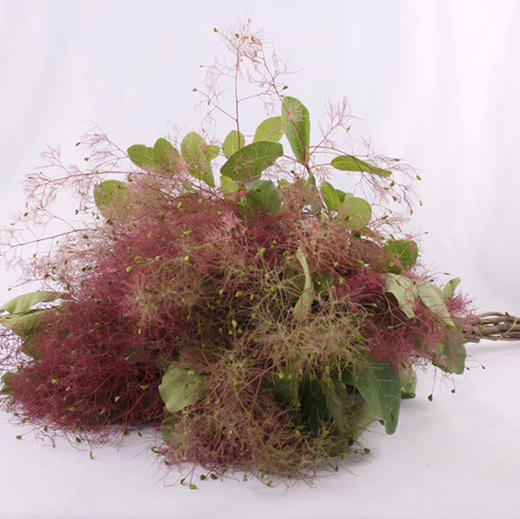 雾中情人 商品图5