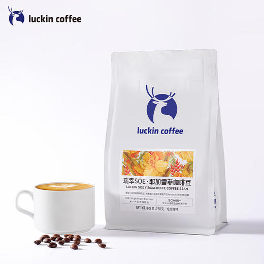 瑞幸咖啡SOE 耶加雪菲咖啡豆250g RX0017 商品图0