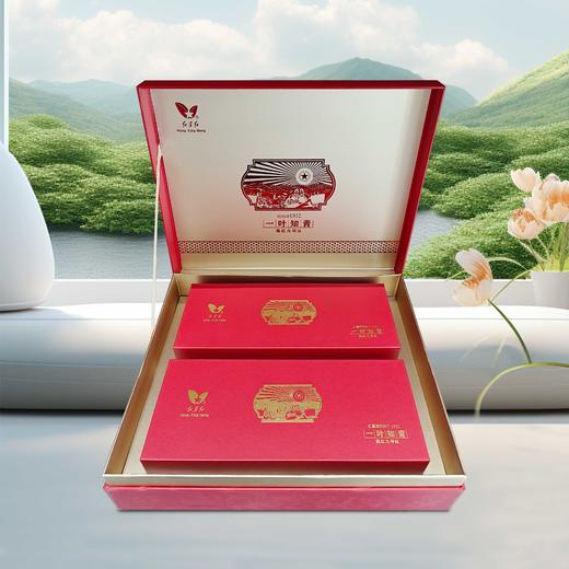 一叶知青∙贵人福英红九号 商品图1