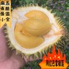 泰国托曼尼巴掌榴莲 猫山王巴掌榴莲 商品缩略图3