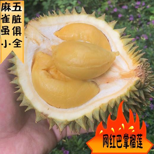 泰国托曼尼巴掌榴莲 猫山王巴掌榴莲 商品图3