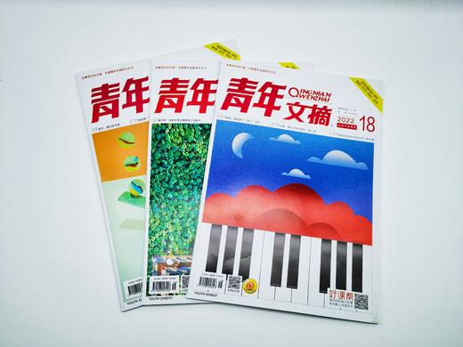 2022年随机10本《青年文摘》过刊   彩版、黑白版 商品图5