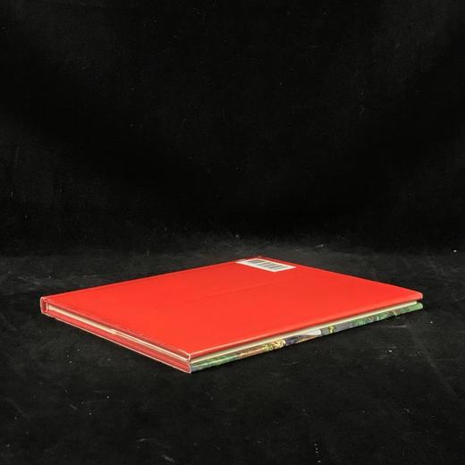 猫咪版中世纪艺术图集 31幅彩色插图 精装18开 商品图2