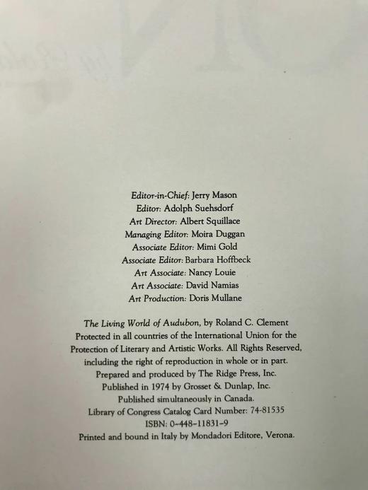 奥杜邦的生命世界 114幅彩色插图 精装大16开 商品图3