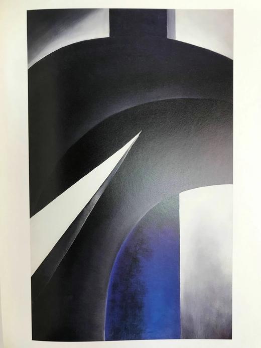 埃布斯沃思收藏：美国现代主义，1911-1947 75幅彩色插图 精装16开 商品图13