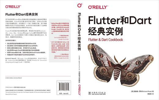 Flutter和Dart经典实例 商品图2