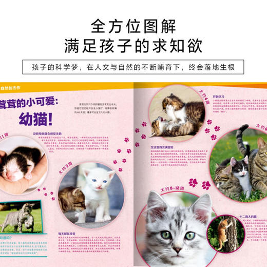 德国百科什么是什么珍藏版（第3辑）：全10册 商品图4