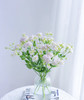 【受欢迎】粉钻 约10枝/扎 商品缩略图4