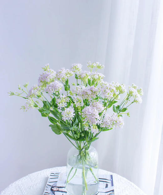 【受欢迎】粉钻 约10枝/扎 商品图4