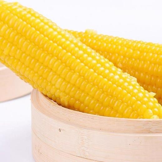 谷莱唐姆甜糯黄玉米10根/袋  新疆博乐特产 可放心食用 商品图3