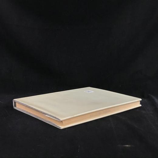 俄国艺术：十七与十八世纪 161幅插图 精装大16开 商品图2