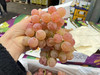 LYCHEE GRAPES荔枝香葡萄，麝香类葡萄品种，新鲜空运到货，枝绿果粉足，入口香甜，回味无穷，无籽。 商品缩略图2