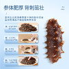 【正宗同仁堂品牌】北京同仁堂  总统牌 净制海参（干海参）165克（71-90头/500克） 去砂嘴 去内脏  参体肥厚SY 商品缩略图4