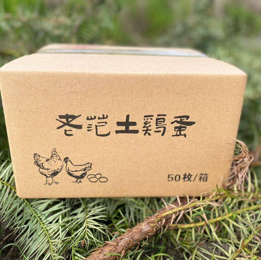 九华山土鸡蛋  九华山直发包邮 商品图2
