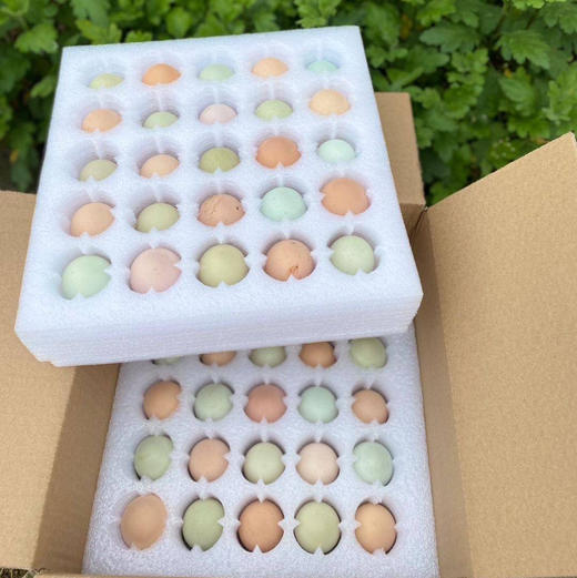 九华山土鸡蛋  九华山直发包邮 商品图1